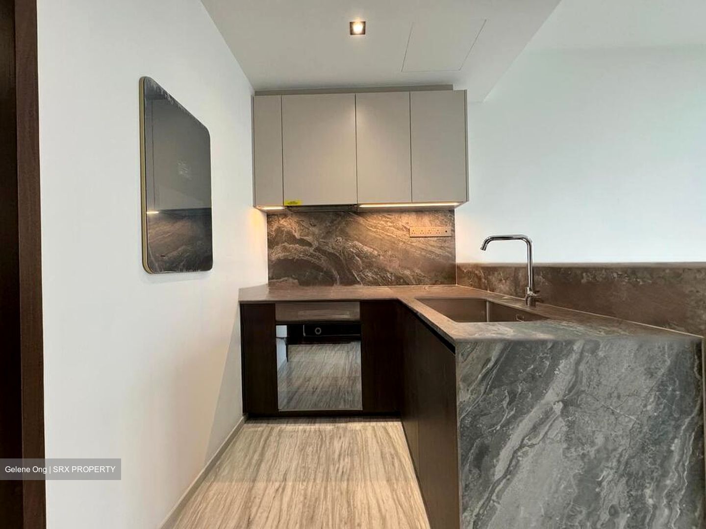 Leedon Green (D10), Condominium #460383161